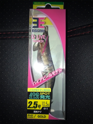 ケンサキとアオリGET (^^)