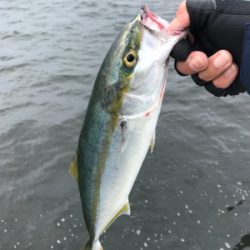 渋い中、粘って粘って…