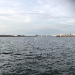 サヨリ狙いのはずが