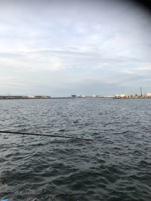 サヨリ狙いのはずが