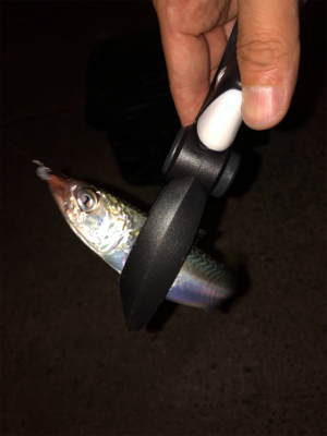 仕事帰りアジング♫