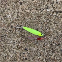 太刀魚＆ハマチ