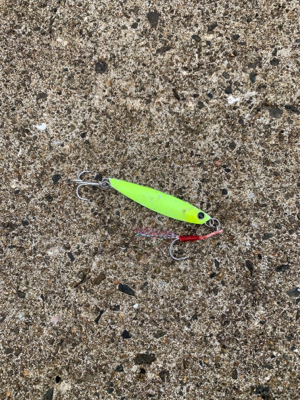 太刀魚＆ハマチ