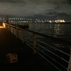 アタリ少ないですがやっと入ってきた!