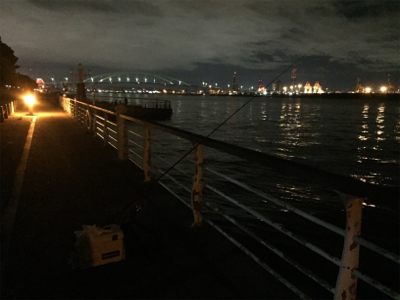 アタリ少ないですがやっと入ってきた!