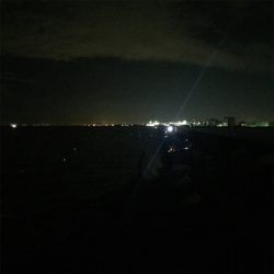 タチウオフィーバーで人居過ぎ