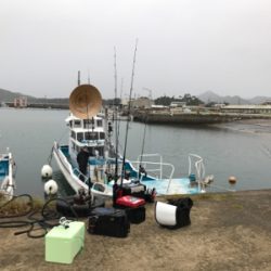 阿波哲 伊島沖便 近海ベイジギング