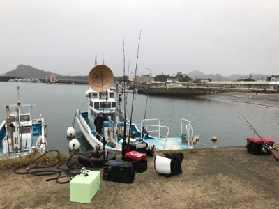 阿波哲 伊島沖便 近海ベイジギング