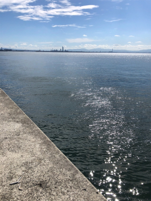 ハマチが釣りたくて…