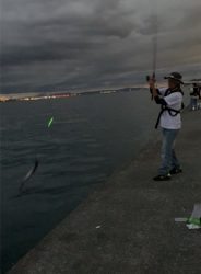 タチウオ釣り