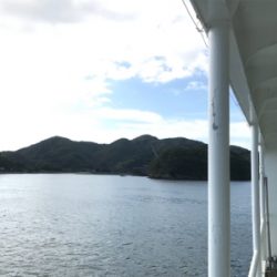 初大崎上島エギング