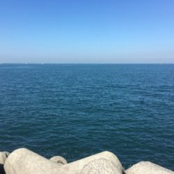 ハマチラーッシュ！！