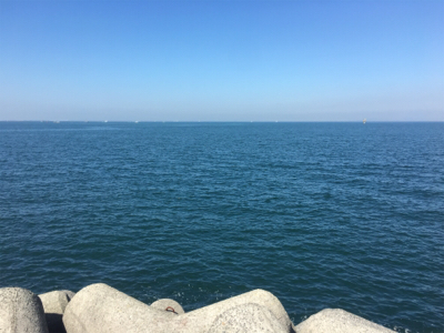 ハマチラーッシュ！！