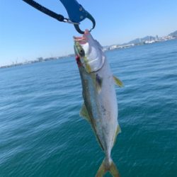 渋太刀としらすナブラと。