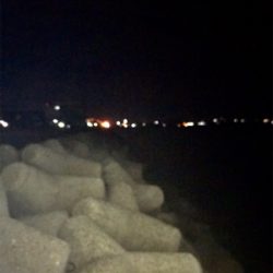 久しぶりのイカGET\(^o^)/