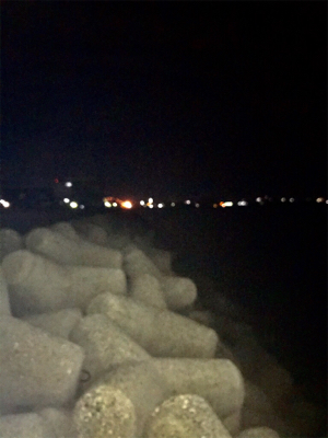 久しぶりのイカGET\(^o^)/