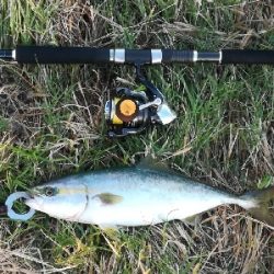 LSJigginger0515〜0555