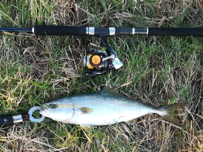 LSJigginger0515〜0555