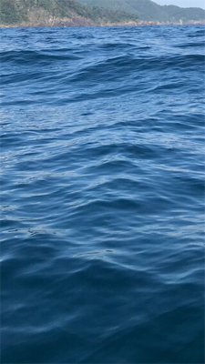 マイボートでアマダイ狙い!