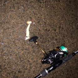 メタルマルでナイトチヌ！