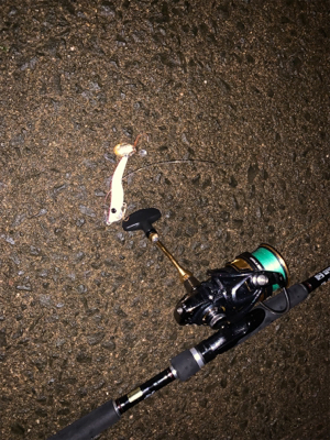 メタルマルでナイトチヌ！