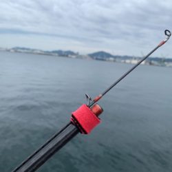 遅ればせキャスト！一投で♫