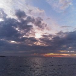 須磨海岸で青物とまさかの底物