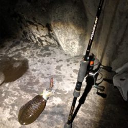 明石に神が舞い降りた。