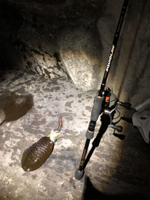 明石に神が舞い降りた。