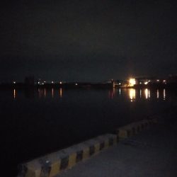 大きい個体は何処に？