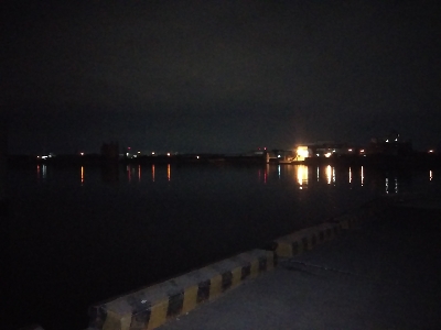 大きい個体は何処に？