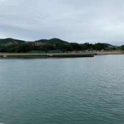 イカを求めてランガン！