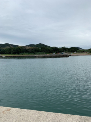 イカを求めてランガン！