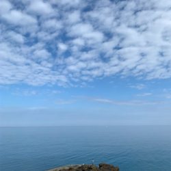 初エギング初釣果！おまけの特大マゴチ！