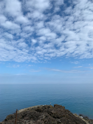 初エギング初釣果！おまけの特大マゴチ！