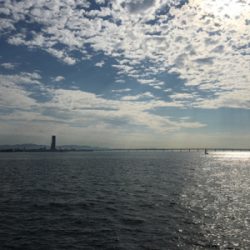 こんなに釣れて良いんですか