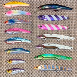 潮悪く、太刀の細君