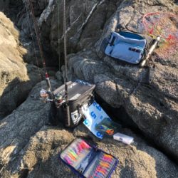 秋エギング＆ジギング