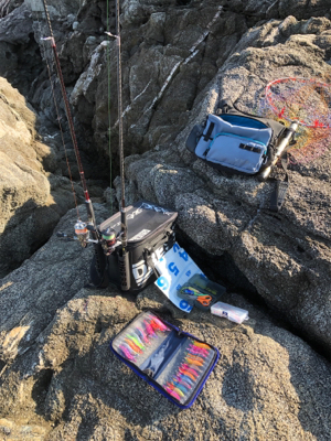 秋エギング＆ジギング