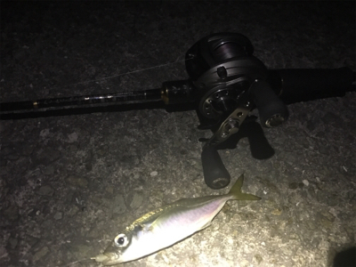 アジングアジングアジング♬