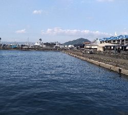 9/14釣果チヌデカアジ豆アジガシラ