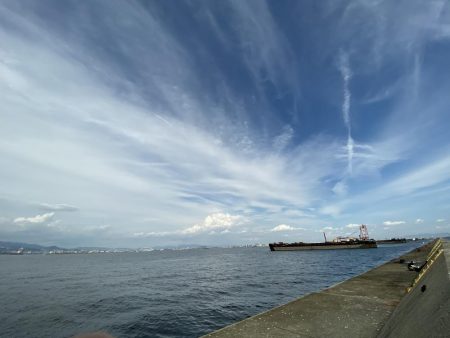 青物は昼間でも釣れる