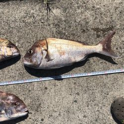 暑いのにタイラバ