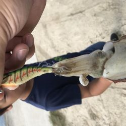 ライトショアジギング エギング