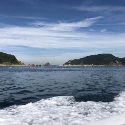 ツバス→ハマチ