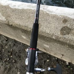 大阪市湾奥まで入ってきたー!