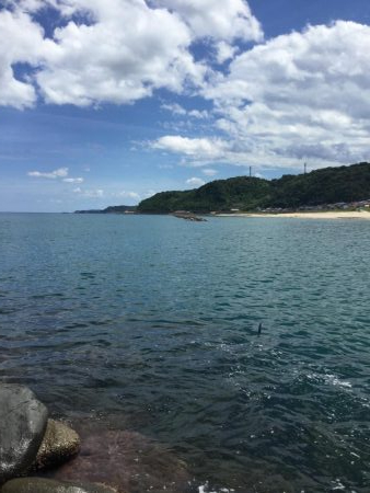 秋イカ地磯釣行