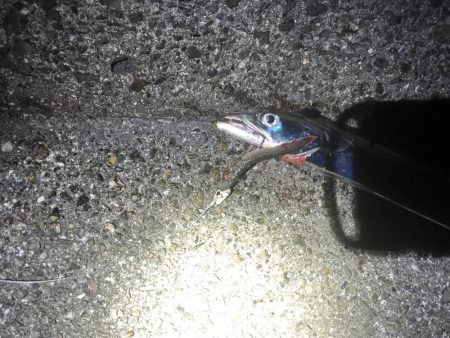 なかなかのらない