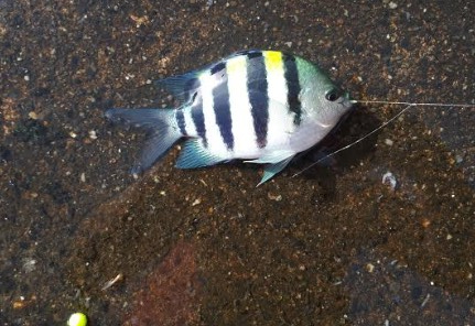 先輩方も大苦戦でした涙