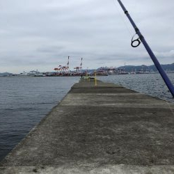 台風接近の中…シイラ?!